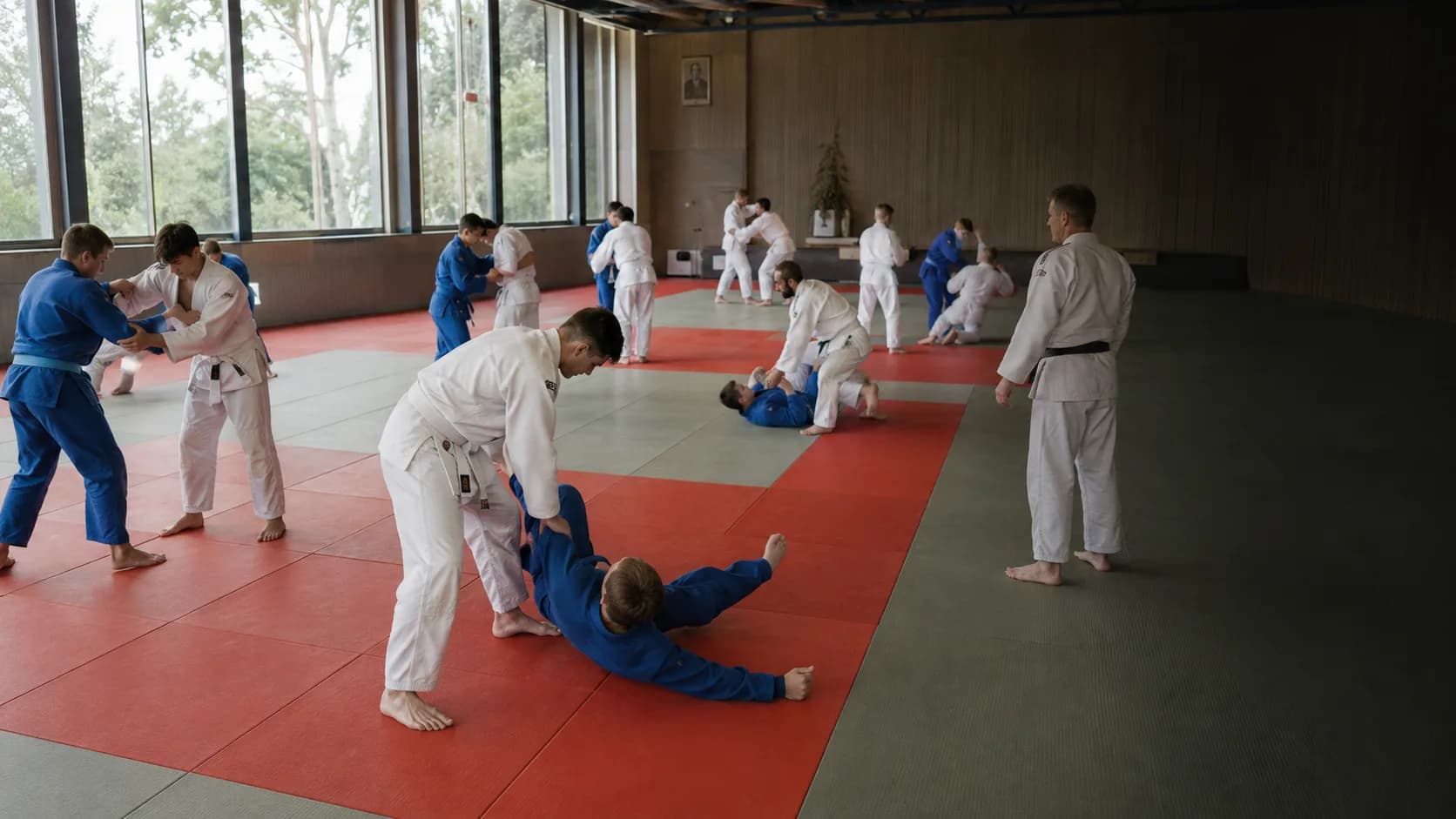 Martial artists train across bright fitted dojo mats in Australia