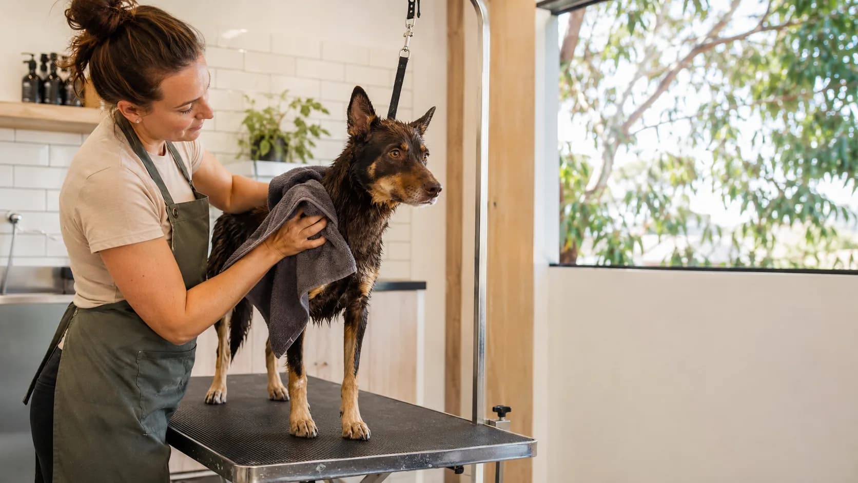 A groomer towels a dog on a table in an Australian grooming salon