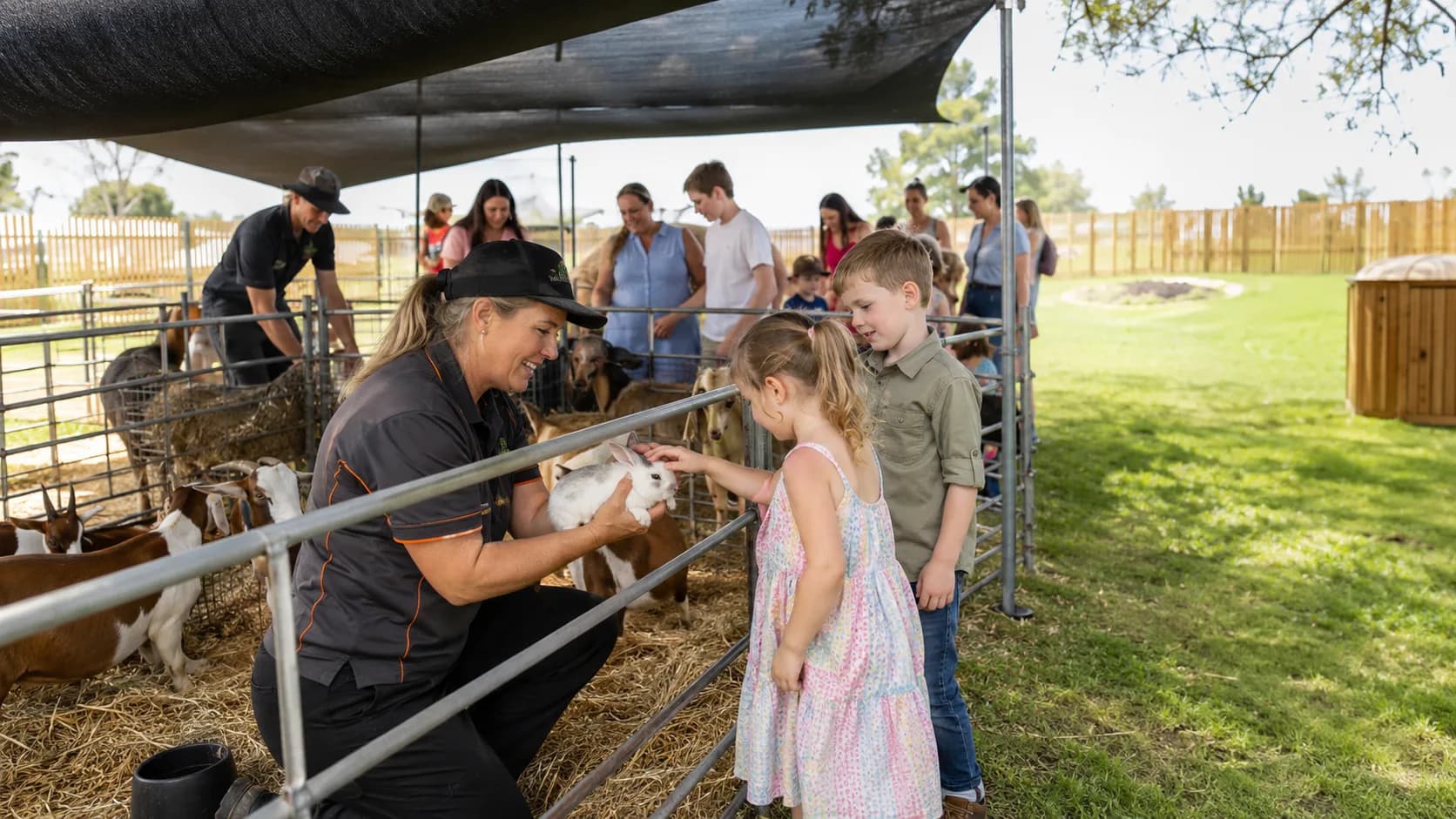 Petting Zoo & Animal Parties