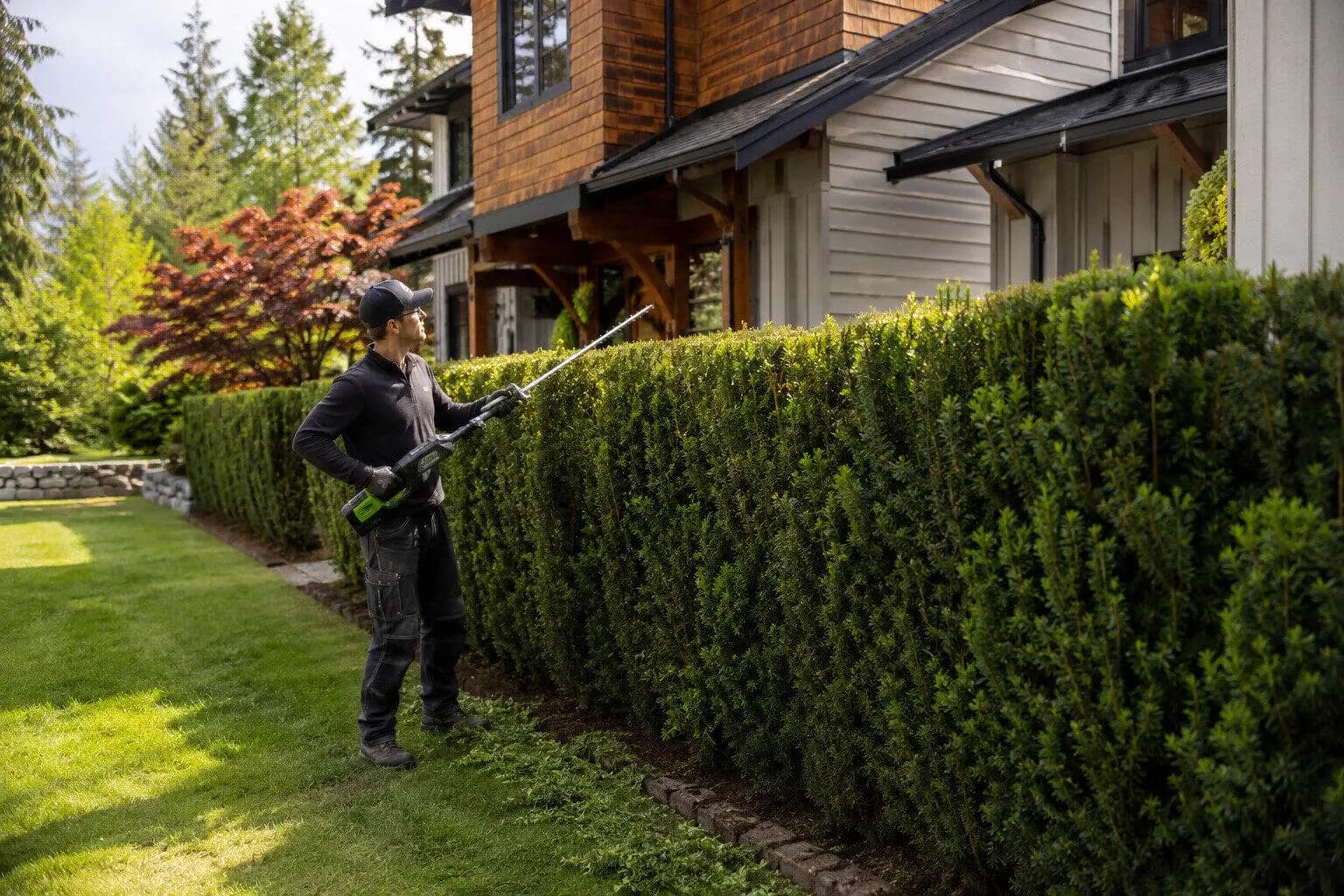 Hedge Trimming