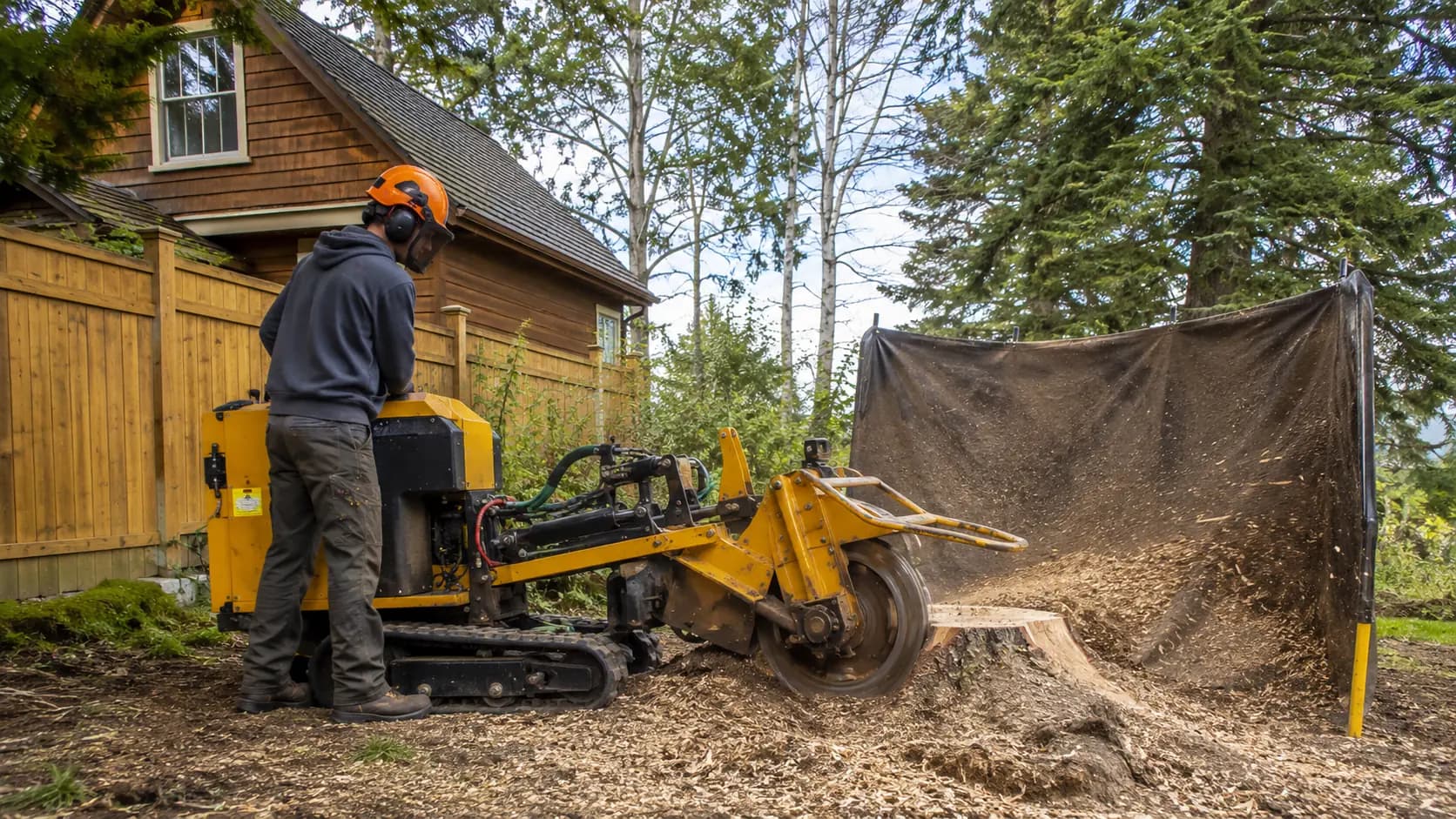 An operator grinds a stump beside a fence at a Canadian home