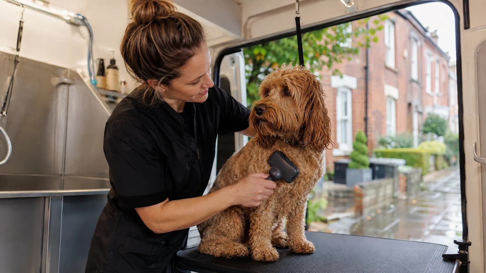 Mobile Dog Grooming