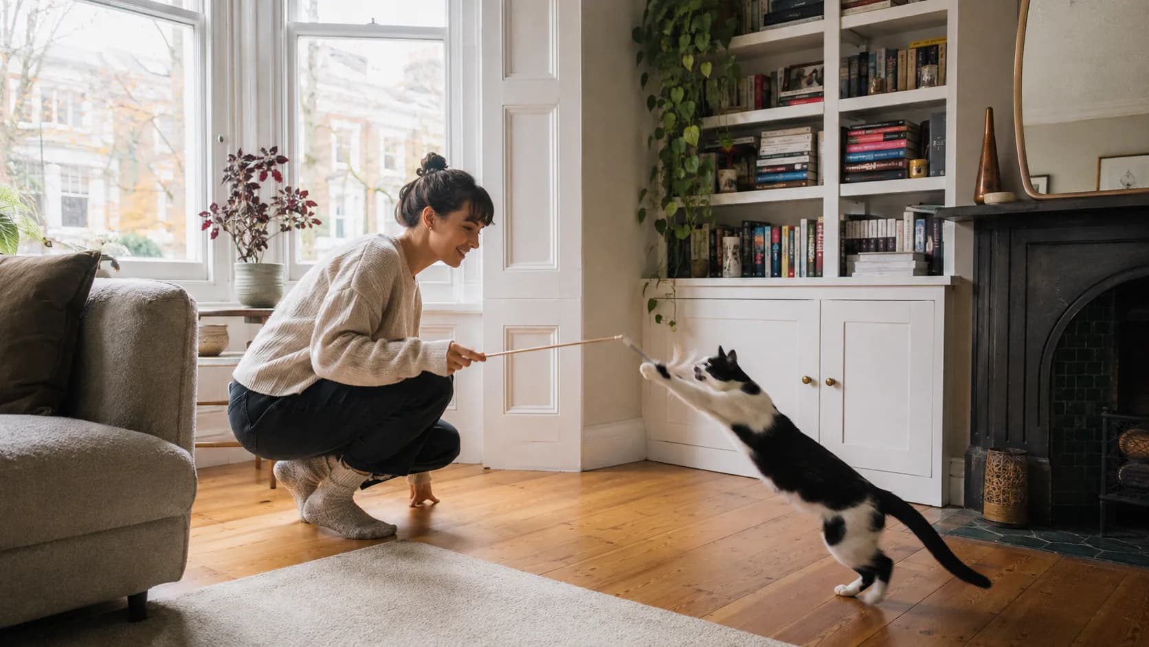 Pet Sitting