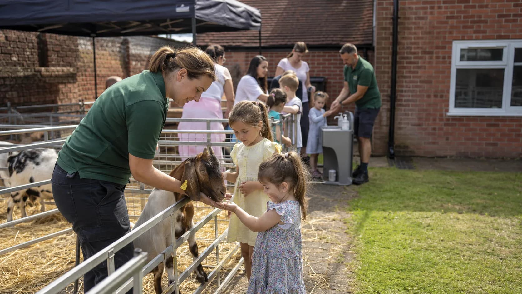 Petting Zoo & Animal Parties
