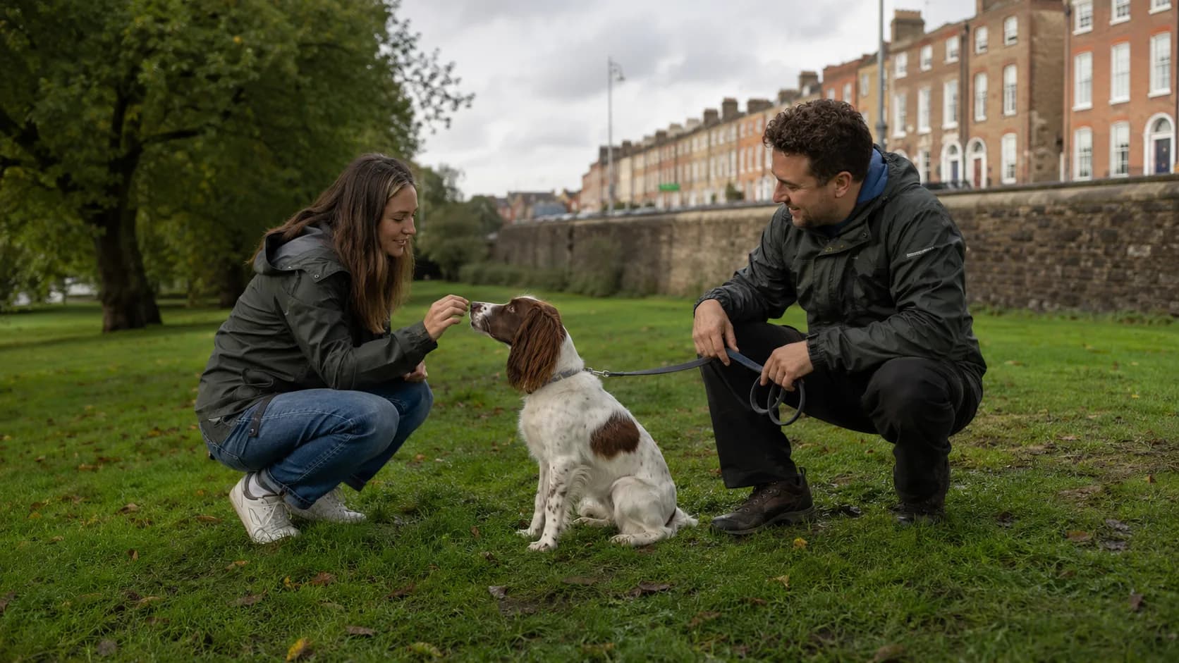 A dog trainer working with a dog in a park in Ireland