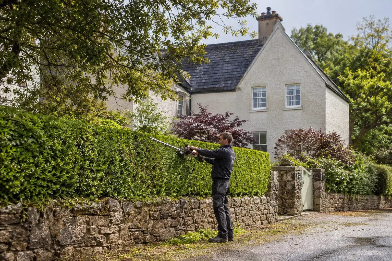 Hedge Trimming