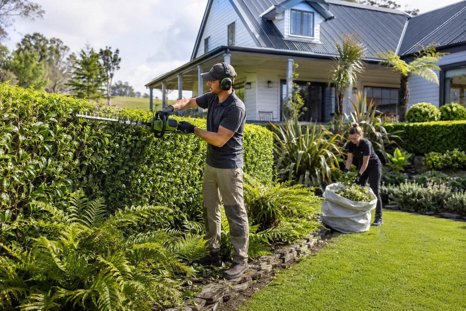 Hedge Trimming