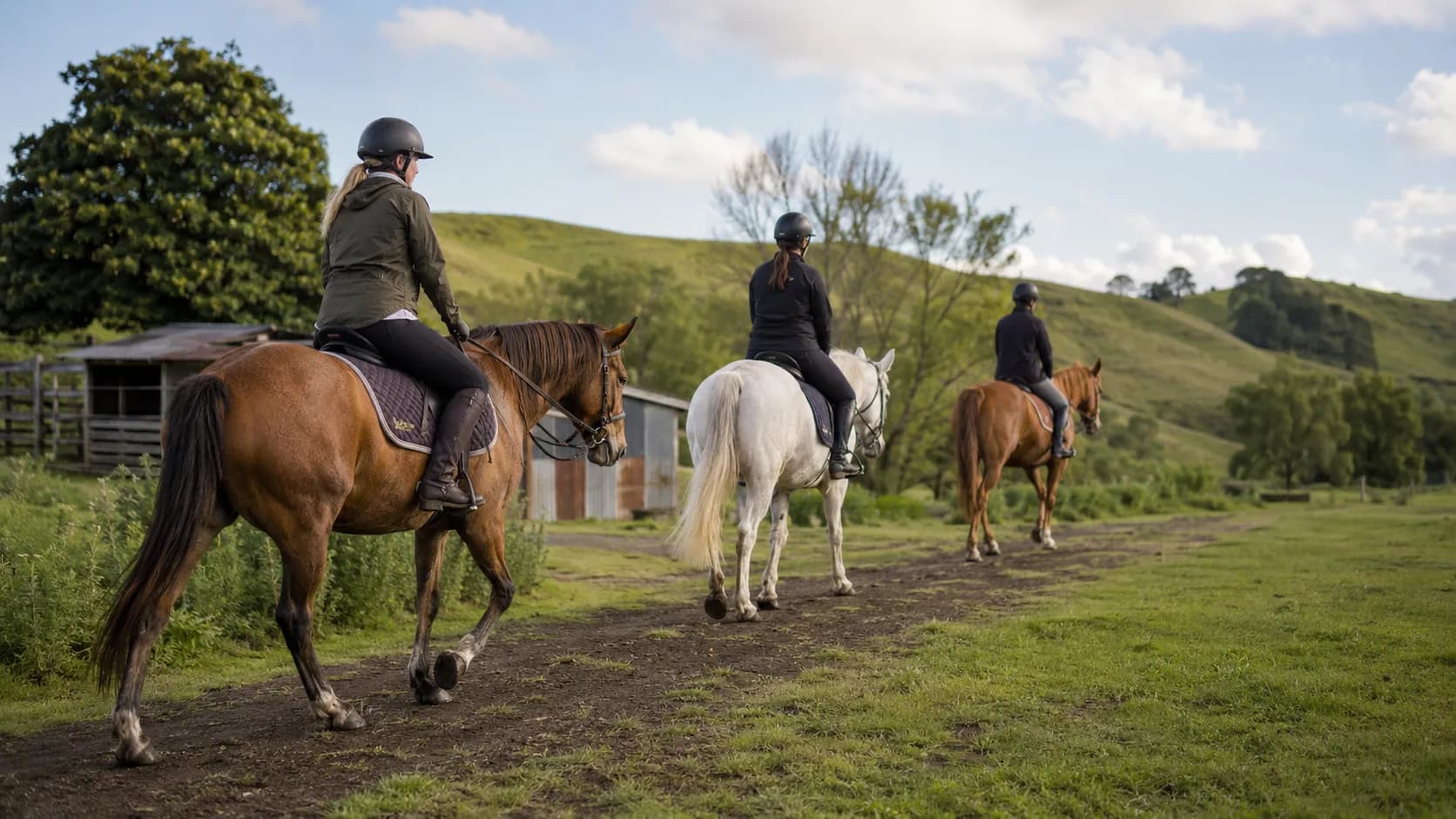 Guide leading a small horse trek through green hills in New Zealand