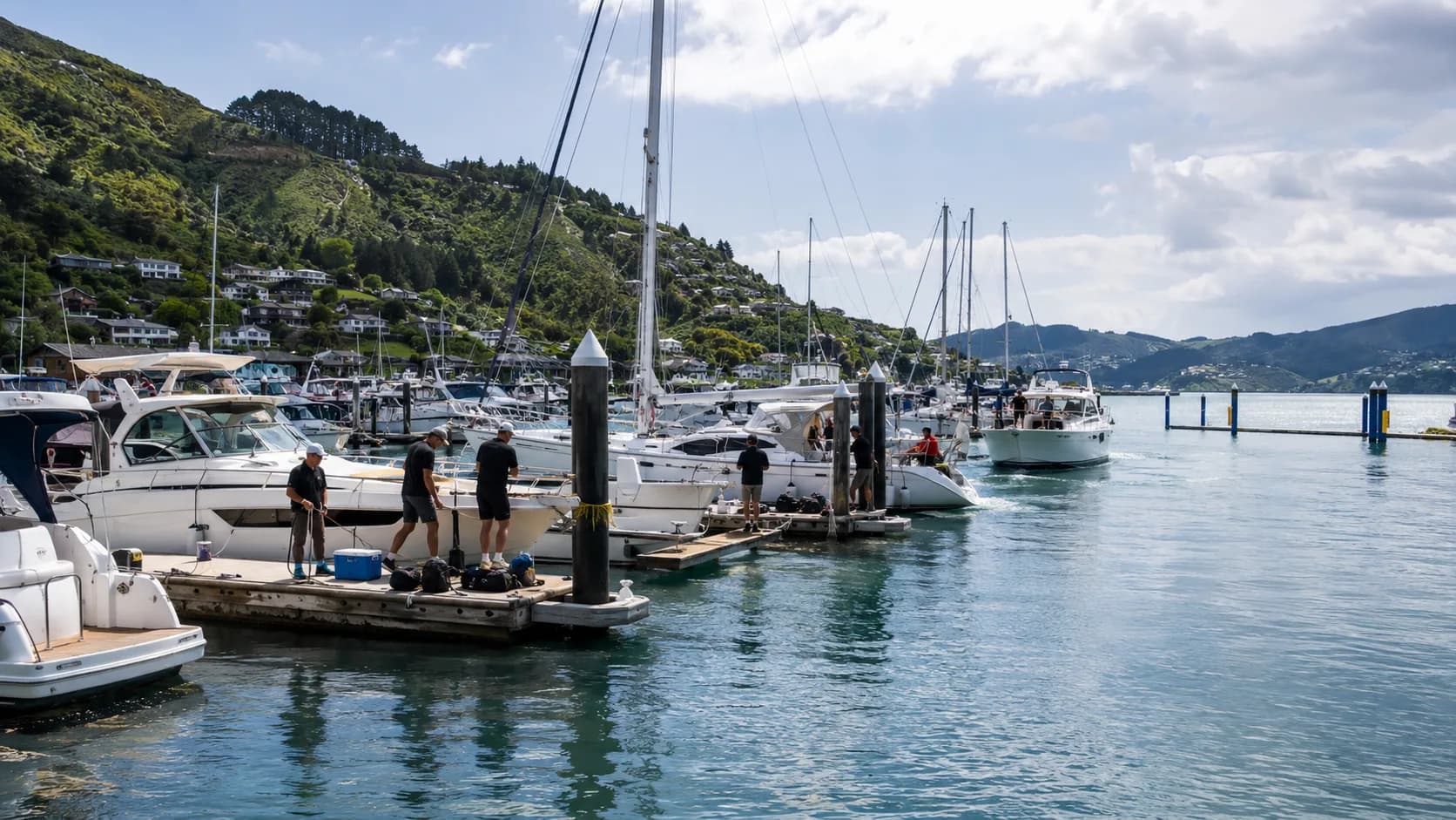 Guests arrive at occupied New Zealand berth by vessel length beside native scenery