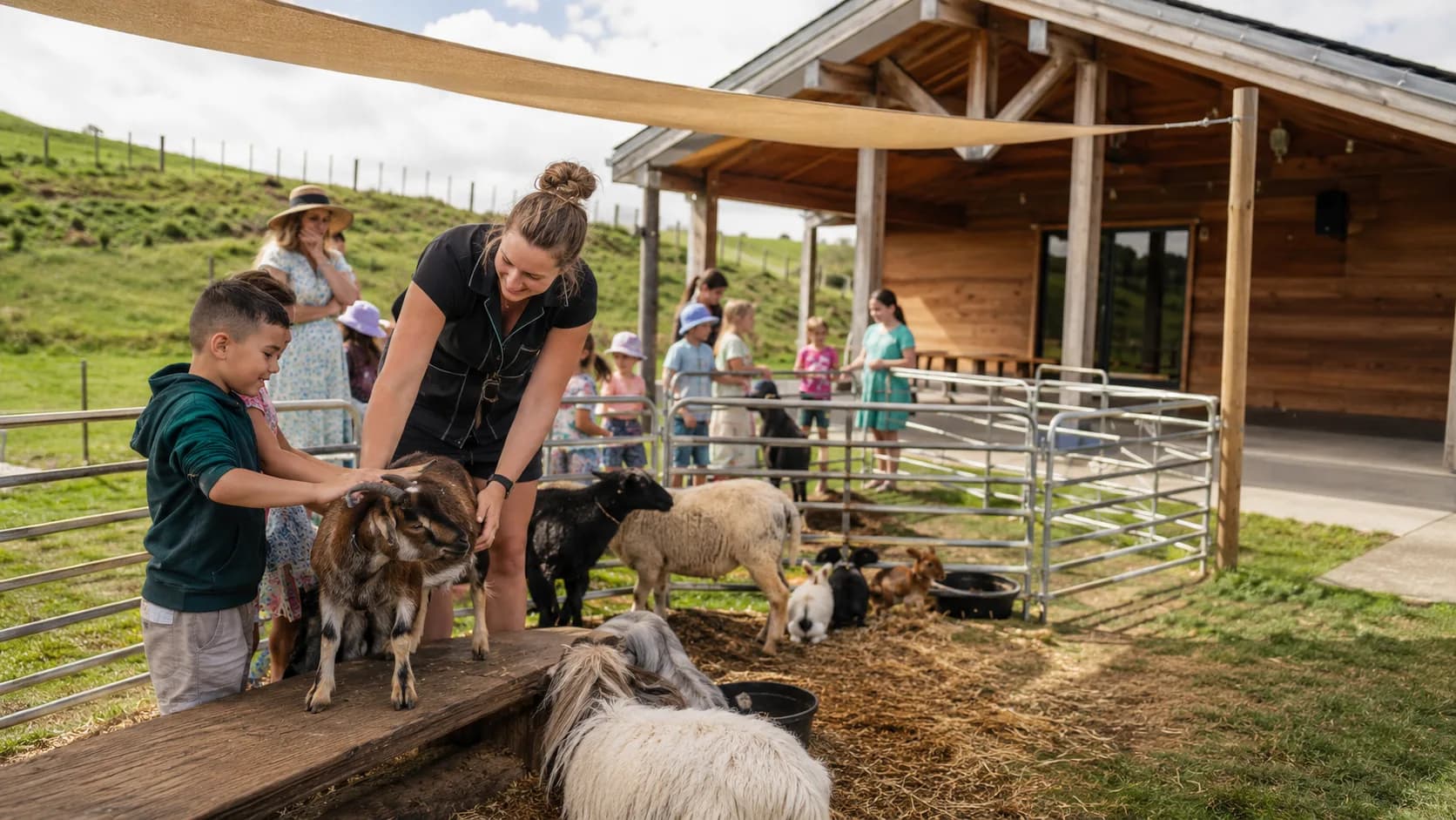 Petting Zoo & Animal Parties