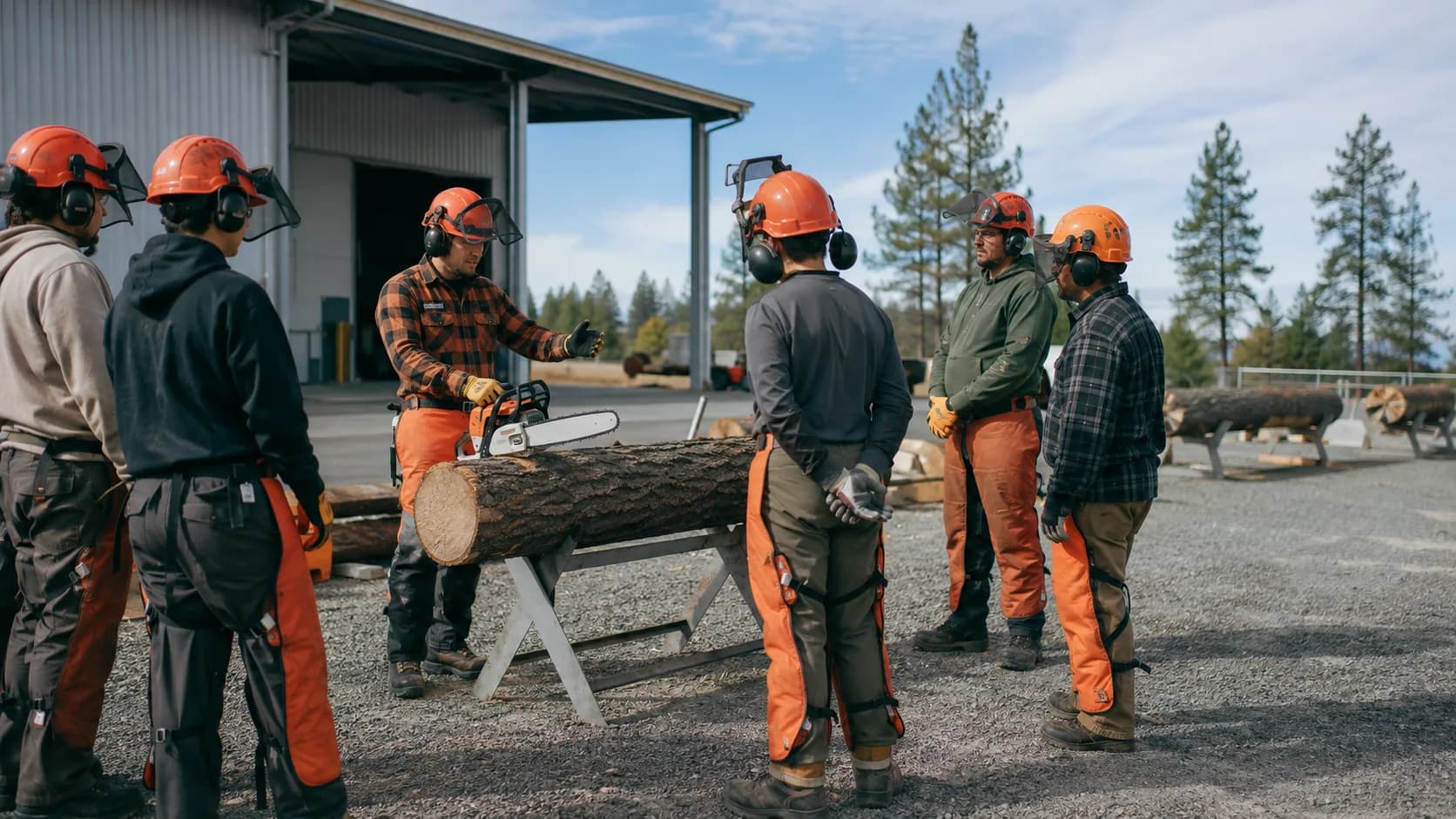 Chainsaw Operation