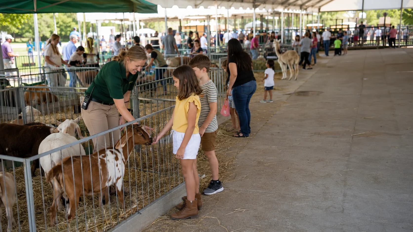 Petting Zoo & Animal Parties